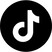 Tiktok Logo