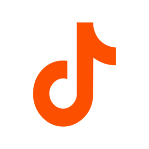 tiktok icon
